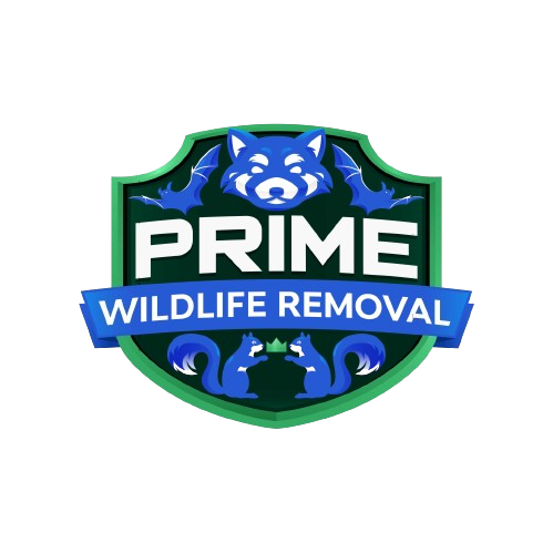Wildlife Removal Hampton